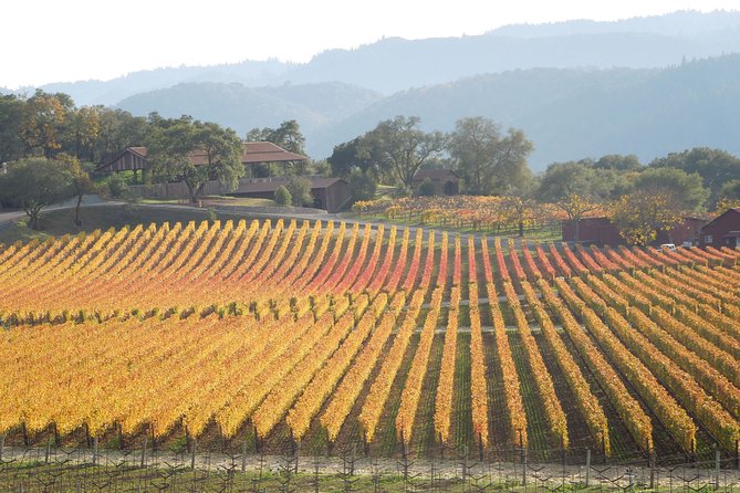 Top Notch Napa Valley Private Custom Tour - Inclusions and Amenities