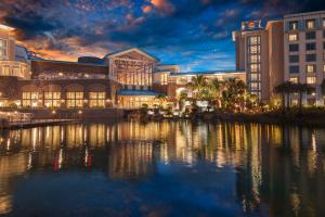 Universals Loews Sapphire Falls Resort - Recreational Offerings