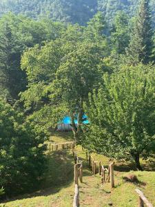 Villa Sardi Small Luxury Boutique Hotel - Policies and Important Information