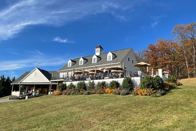 Virginia Winery Excursion by Luxury Vehicle Three Wineries - Food and Beverages