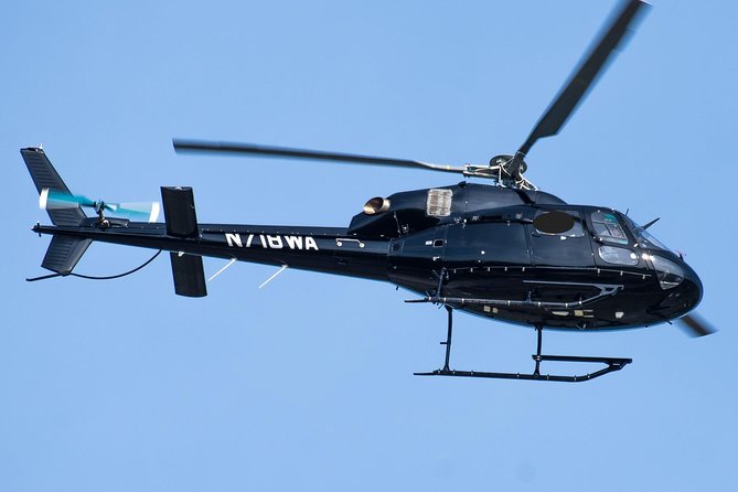 Washington D.C. Day Trip From Manhattan by Helicopter - The Sum Up