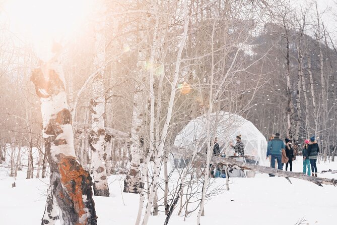 Wildlife Safari, Elk Refuge Sleigh Ride, Winter Camp Igloo Dinner - Meeting and Pickup Information