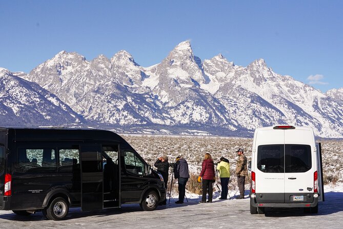 Wildlife Safari With Snowshoe & Winter Camp Dinner Experience - Activity Inclusions and Accessibility
