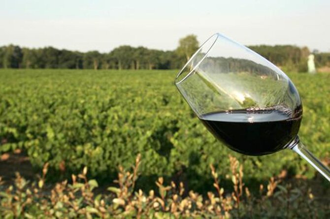 Wine Tasting Audio Tour - Lodi California - Booking Information