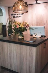 Witte Berken Nature Hotel - Accessibility and Policies
