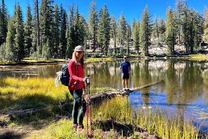 Yosemite Full Day Private Tour - Accessibility Features
