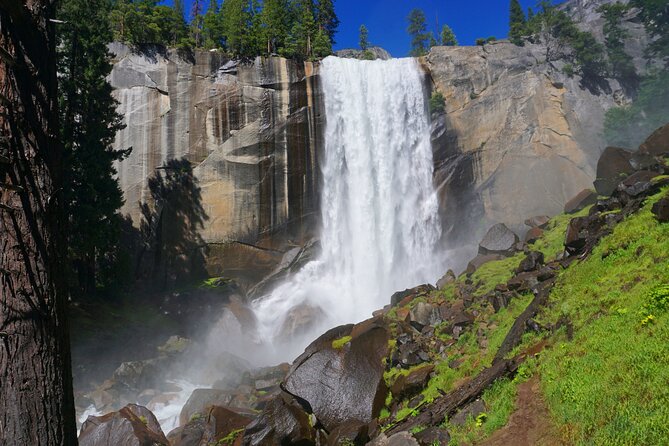 Yosemite National Park Private 1 Day Tour From San Francisco - Pricing Information