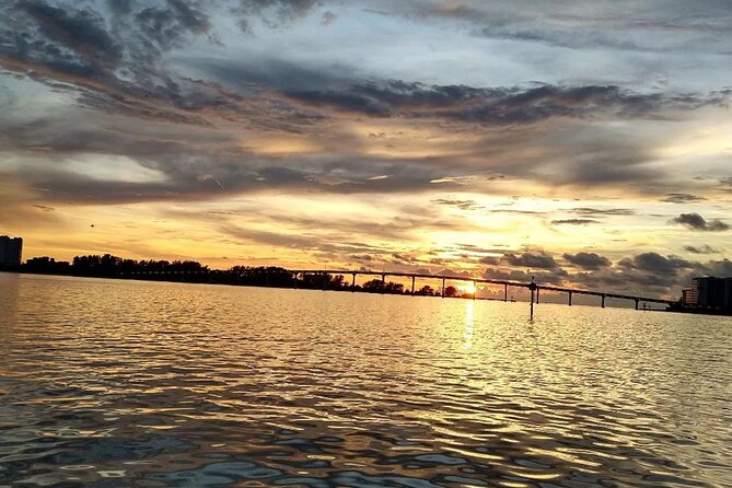 2-hour Private Boat Tour in Clearwater Florida - Wildlife and Dolphin Watching