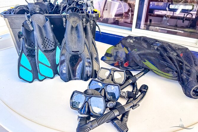 2hr Luxury Private Sailing Catamaran for 7-12 People - What to Expect