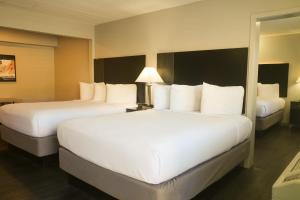 Americana Modern Hotel - Check-in and Check-out