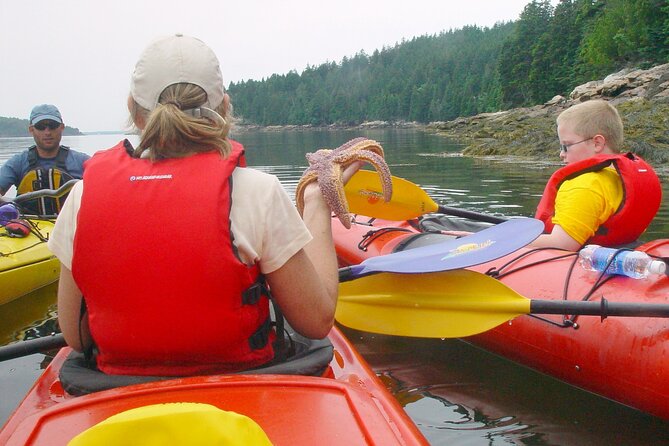 Aqua Safari Kayak Tour Departing Southwest Harbor - Meet Your Guides at Maine State Sea Kayak