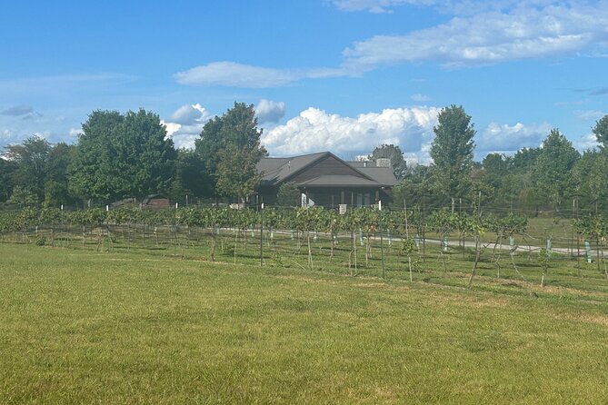 Arrington Wine and Franklin Dine Private Tour From Nashville - Wine Tasting at Pickers Creek Winery