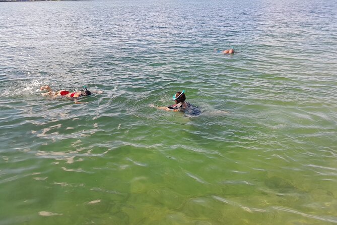 Bayside Market Place Snorkeling for Beginners - Supplier Information and Booking Tips