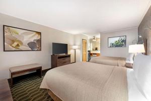 Best Western Plus Black Oak - Guest Feedback Highlights