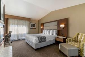 Best Western Plus Forest Park Inn - Nearby Attractions