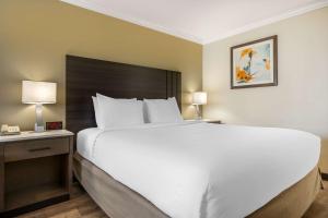 Best Western Plus Orange County Airport North - Guest Experiences