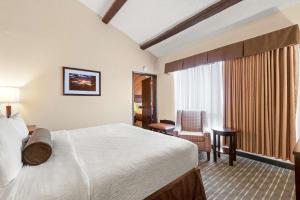 Best Western Plus Tree House - Cancellation and Pet Policy