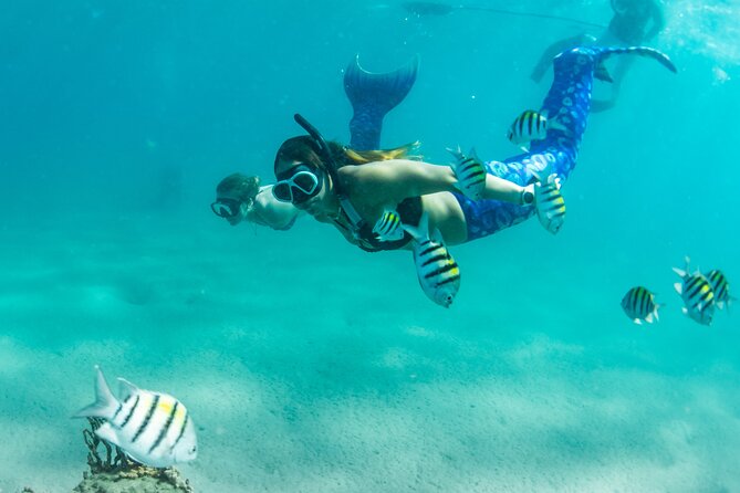 Blue Heron Bridge Mermaid Experience - Pricing and Booking Options