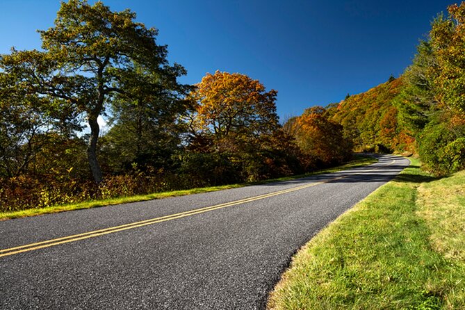 Blue Ridge Parkway South Audio Driving Tour - Flexible Exploration Opportunities
