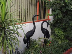 Casa Larrea Inn - Policies and Restrictions