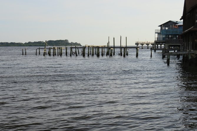 Cedar Key Food Walks - Contact Information for Inquiries