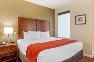Comfort Inn & Suites Near Ontario Airport - Accessibility Features