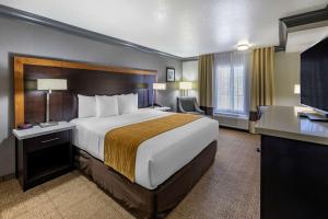 Comfort Inn & Suites Near Universal - N Hollywood - Burbank - COVID-19 Precautions