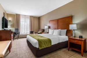 Comfort Inn & Suites Sacramento - University Area - Guest Feedback