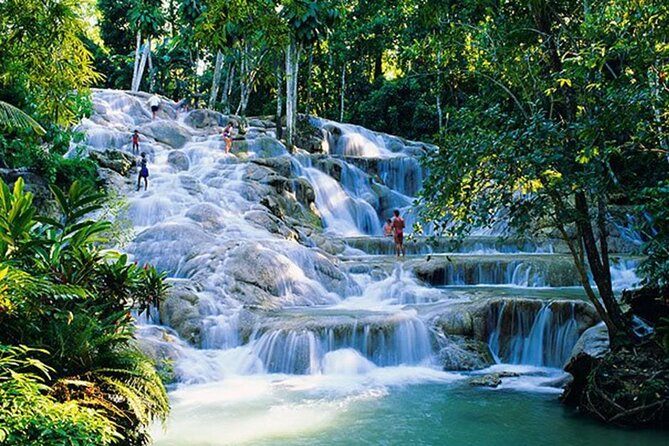 Dunns River Falls and Horseback Riding Tour From Montego Bay - Important Information for Travelers