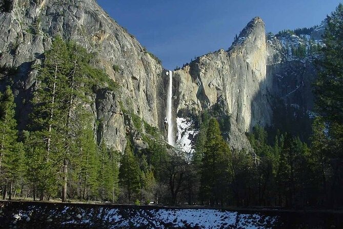 Enchanting Small Group Yosemite National Park Tour From Cupertino - Traveler Reviews and Feedback