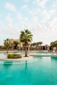 ERTH Abu Dhabi Hotel - Activities and Experiences