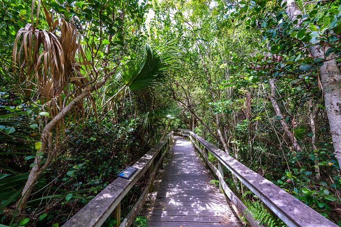 Everglades National Park Audio Tour Guide - Personalized Experience