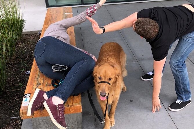 Explore Anaheim With a Unique Scavenger Hunt by Wacky Walks - Uniqueness of Wacky Walks