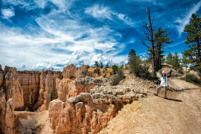 Explore Bryce Canyon: Private Full-Day Tour From Salt Lake City - The Sum Up