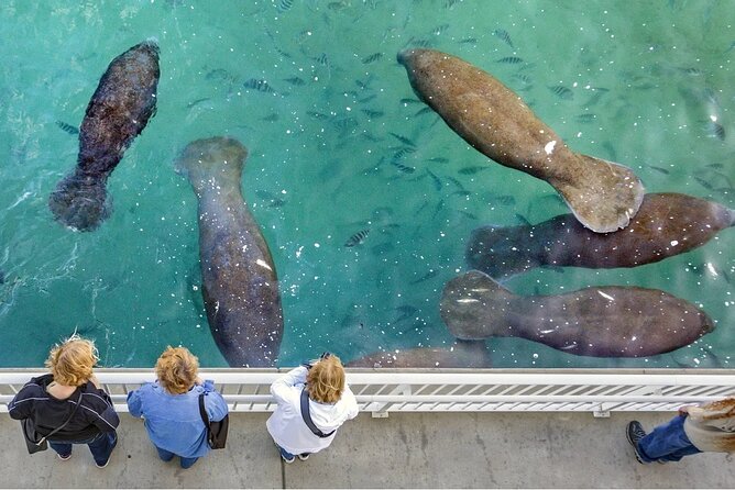 Explore Wildlife Sanctuaries on the WILD Palm Beaches Tour - Accessibility Features