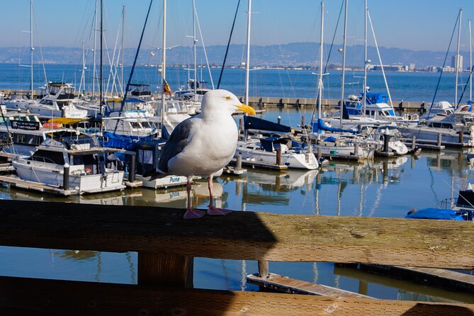 Fisherman's Wharf and Pier 39 Maritime Food Tour - Inclusions and Pickup Details