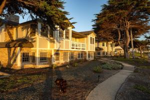 Fogcatcher Inn - Nearby Attractions and Activities