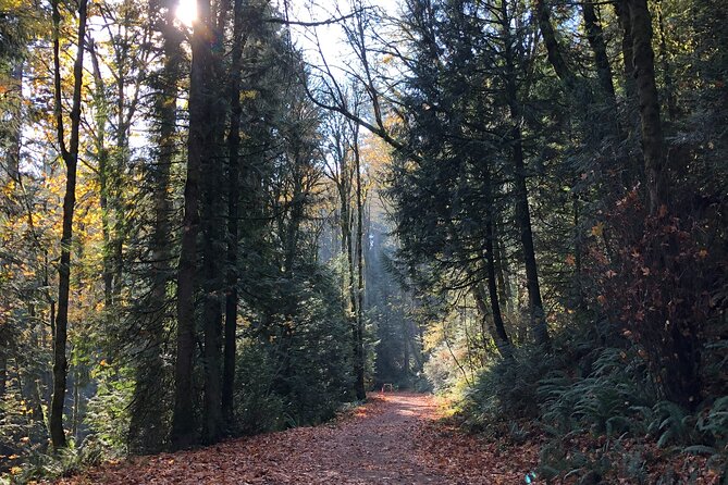 Forest Park Carbon Gravel Bike and E-Bike Tour - What to Expect