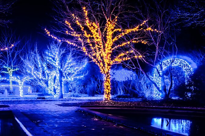 Franklin's Festive Lights Spectacular A Christmas Wonderland Tour - How to Book Your Experience