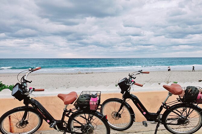 Ft. Lauderdale Brightline Train to Palm Beach & 4hr Ebike Rental - Discovering Palm Beach on an Ebike