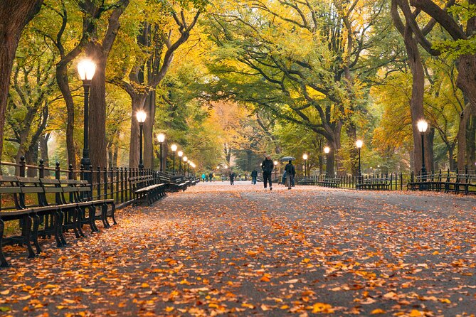 Gossip Girl Movie Locations Private Tour in New York - Customization Options