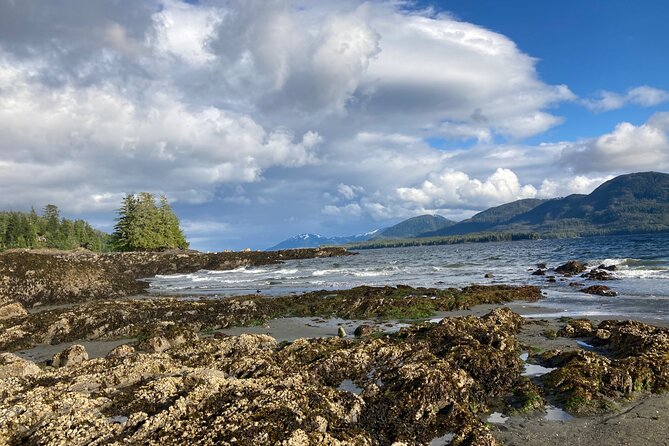 Guided Tour of Ketchikan's Top Attractions - Accessibility and Participation