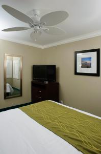 Hi View Inn & Suites - Check-In and Check-Out