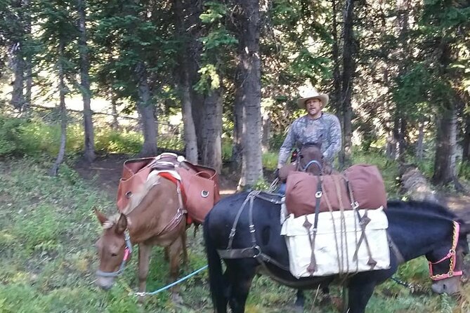 High Mountain Scenic Trail Rides in the Teton Range - Booking and Pricing Information