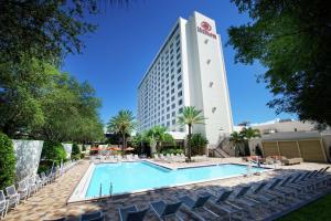 Hilton St. Petersburg Bayfront - Location and Nearby Attractions