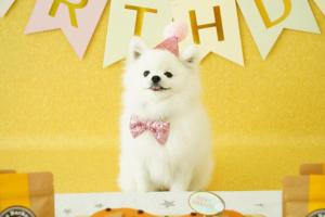 Holiday Inn Express - Times Square South, an IHG Hotel - Frequently Asked Questions