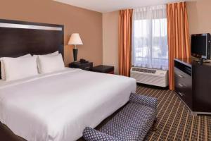 Hotel Nova SFO By FairBridge - Accessibility Features