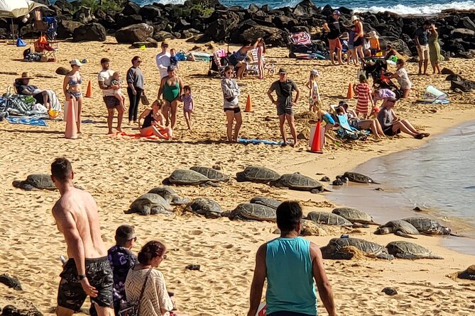 Kauai Island Day Trip From Oahu With Airfare Included - Exploring Kauai: Highlights and Activities