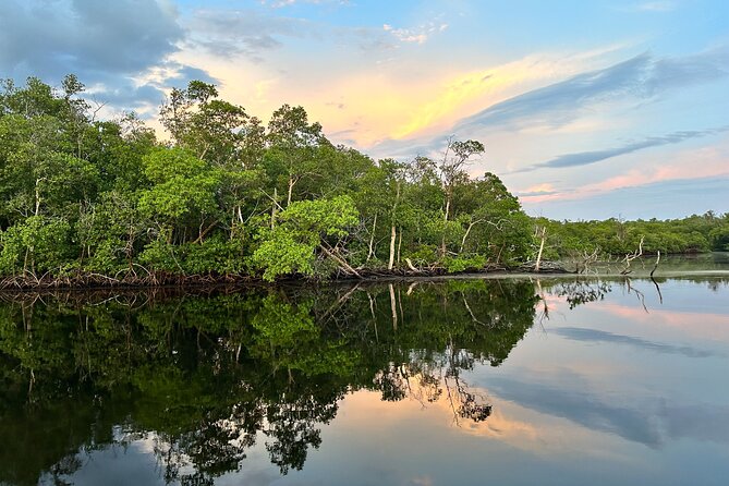 Mangrove and Gulf Excursion Tour - Booking Flexibility