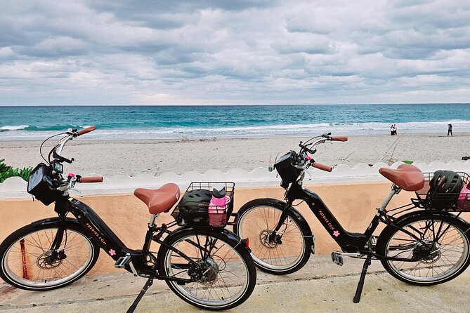 Miami Brightline Train to Palm Beach & 4 Hour Ebike Rental - What to Expect on the Train Journey